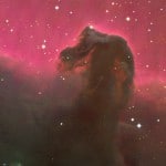 Horsehead Nebula. Credit: David Malin/AAO Horsehead Nebula. Credit: David Malin/AAO