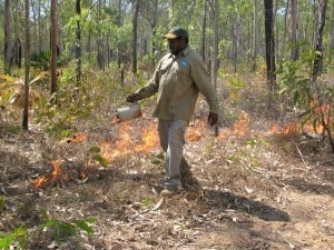 Tiwi Ranger Leon Puruntatameri lighting experimental fires as part of the Tiwi Carbon Study. Credit: CSIRO Darwin