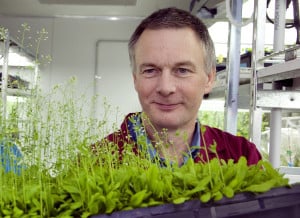 Photos: Ian Small’s gene repair tools could change plant and animal breeding Credit: ARC CoE in Plant Energy Biology